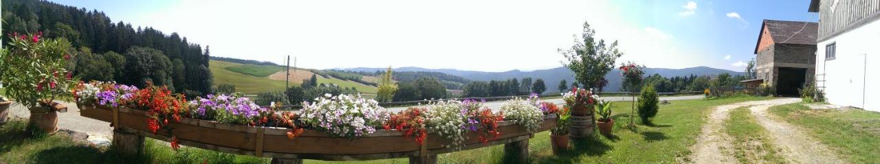 Biobauernhof Höllerbauer Monichwald Exterior foto