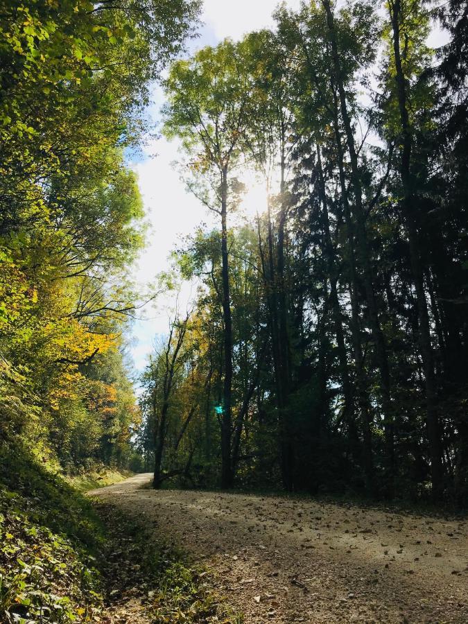 Biobauernhof Höllerbauer Monichwald Exterior foto